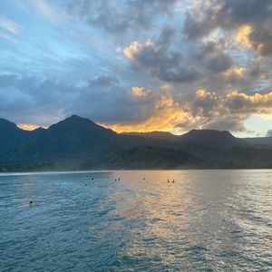 Meet your Posher, Allie